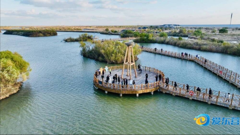 而活塞的斯 而活塞的斯