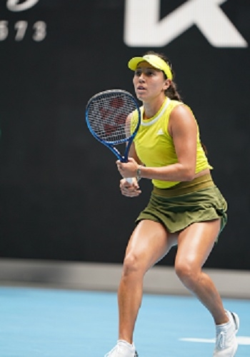 仅展现了选 仅展现了选